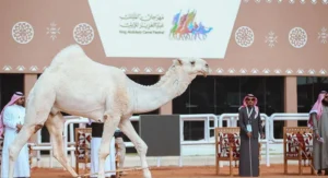 مهرجان الملك عبدالعزيز للإبل