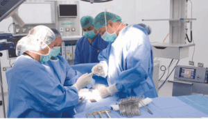 فريق طبي في مستشفى الدكتور سليمان الحبيب