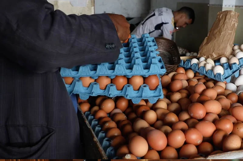 أسعار البيض